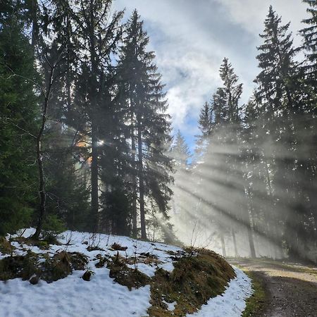 Ferienwohnung Herzlicht Titisee-Neustadt Exterior foto